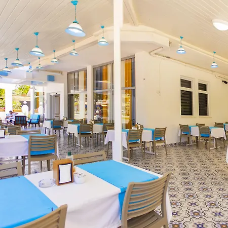 Evon גאזיפאשה